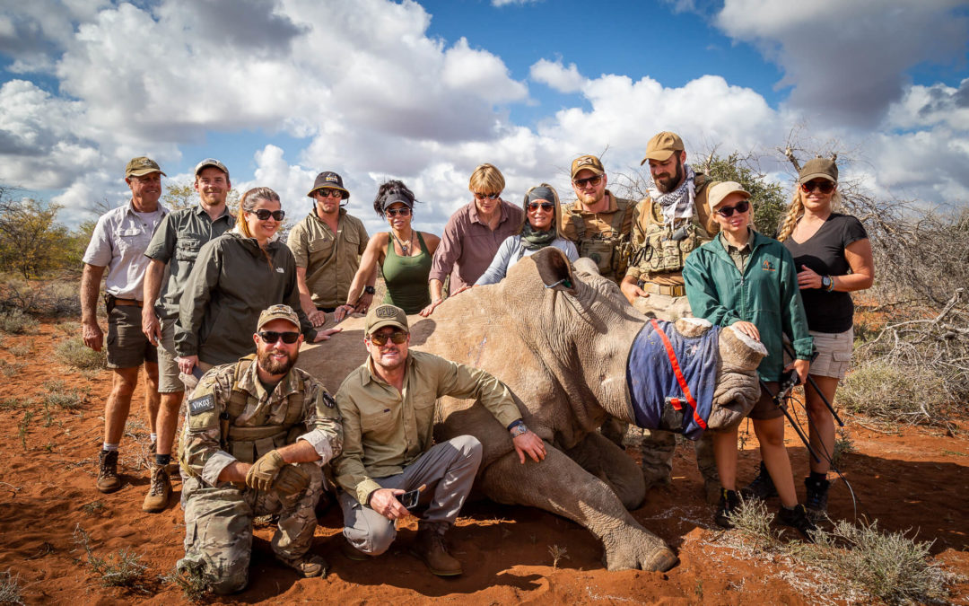 How Can I Help Endangered Animals In Africa? | VETPAW