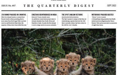 The Quarterly Digest September 2022